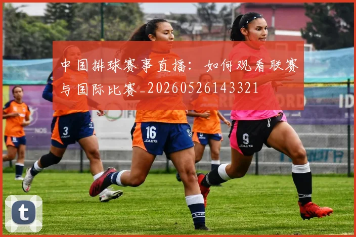 中国排球赛事直播：如何观看联赛与国际比赛_20260526143321